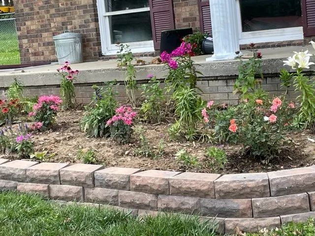 Trusted yard cleanup service in Berea, KY by Mays's Lawn Care And Landscaping