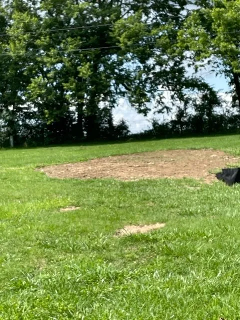 Trusted landscape installation in Berea, KY - Mays's Lawn Care And Landscaping