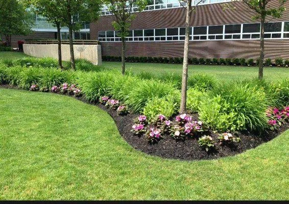 Mayweather's Lawn Care