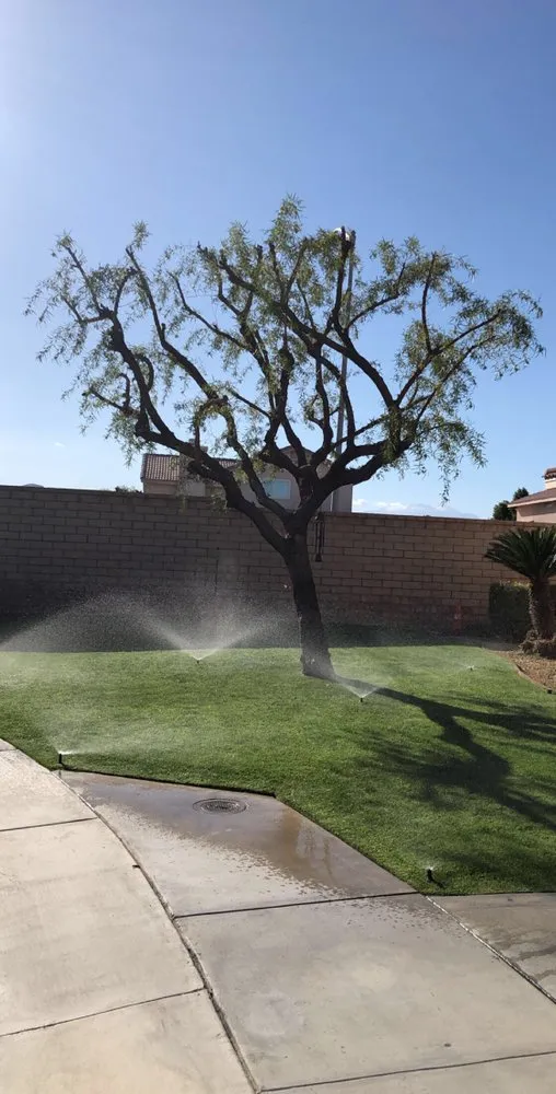 Reliable residential landscaping for homes across Mecca, CA - MAZ Landscape