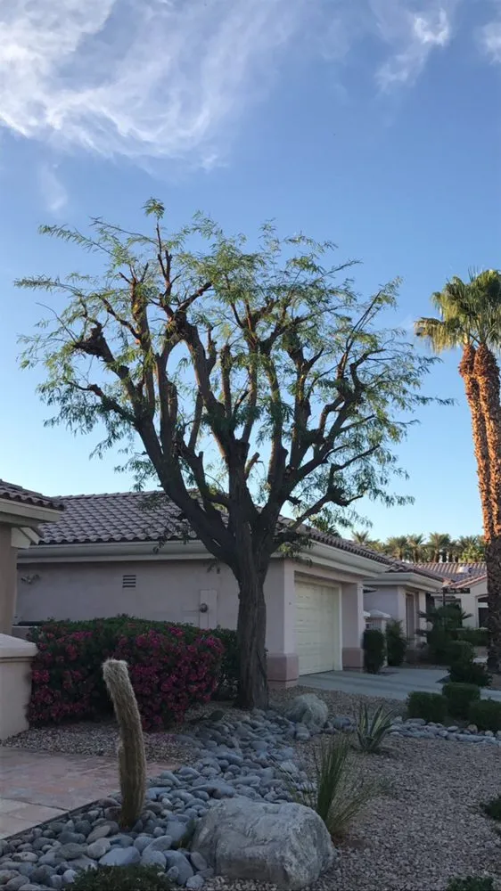 Local lawn care service for homes in Mecca, CA by MAZ Landscape