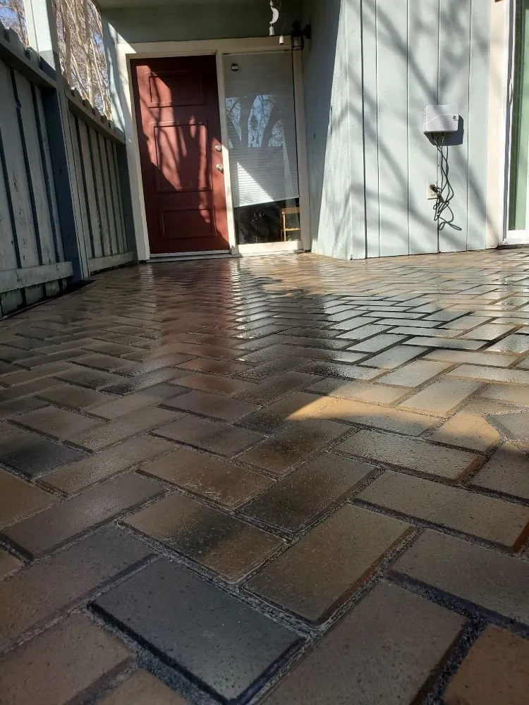 Affordable lawn care service near you across East Palo Alto, CA - Maíz Landscaping