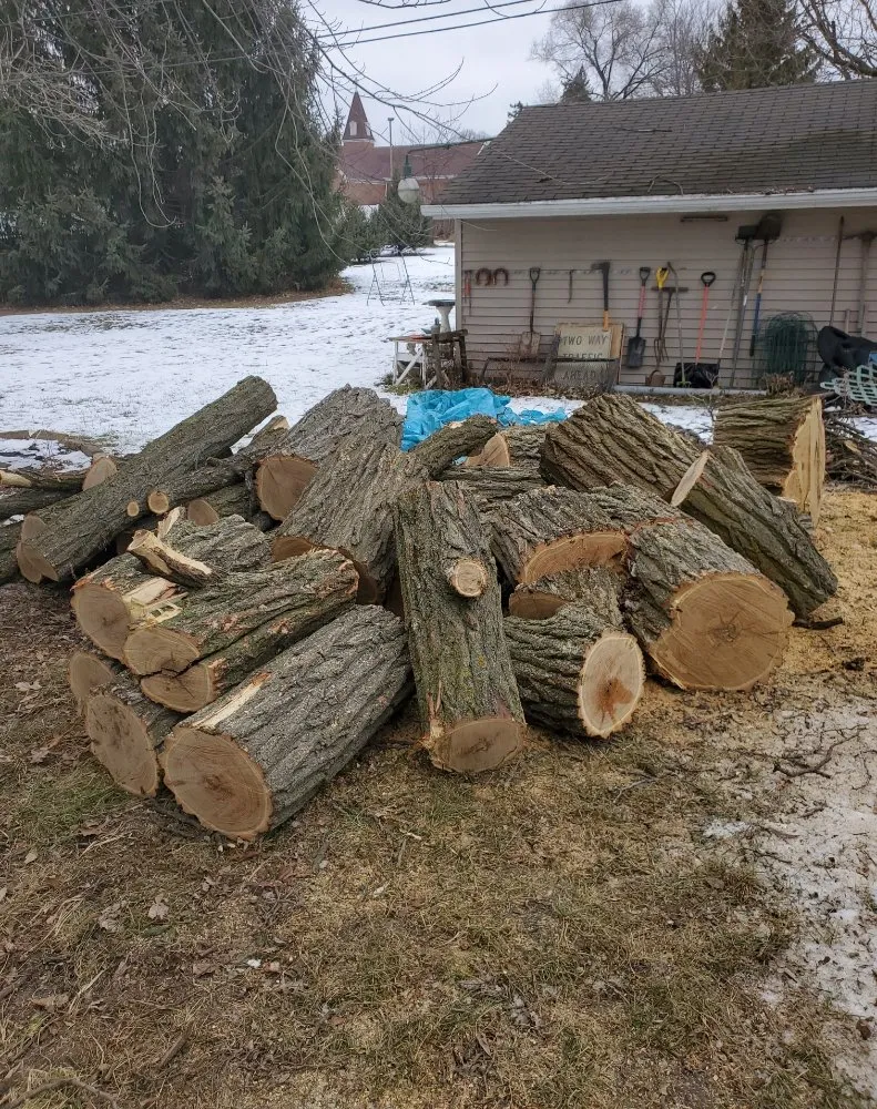 Trusted outdoor landscaping with custom design in Chicago, IL by Maza Construction Corporation