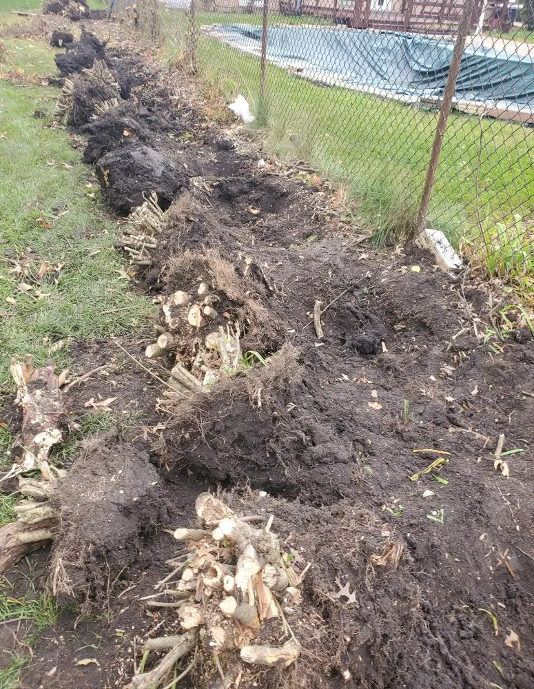 Expert residential landscaping for residential properties in Chicago, IL by Maza Construction Corporation