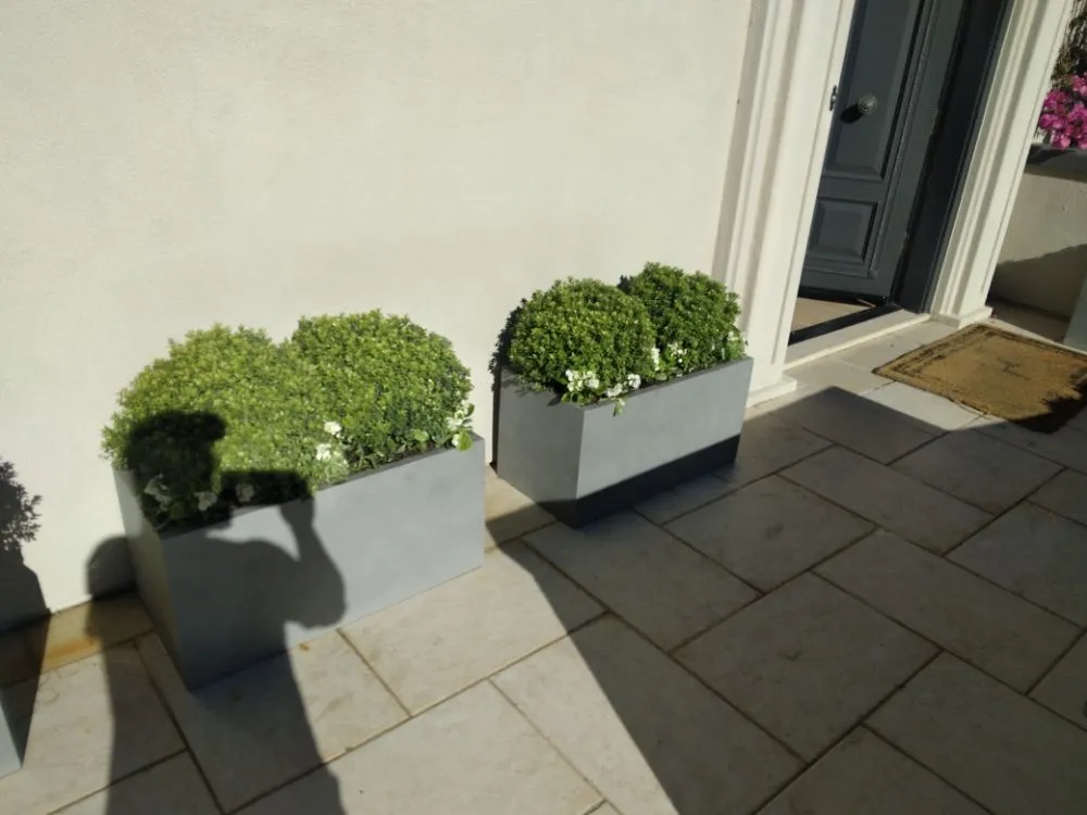 Top-rated yard cleanup service for year-round maintenance in san rafael, CA by Mazariegos Landscaping