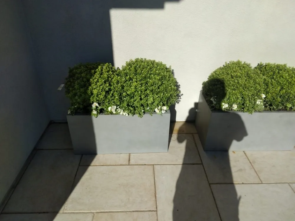 Expert lawn care service for beautiful yards in san rafael, CA by Mazariegos Landscaping