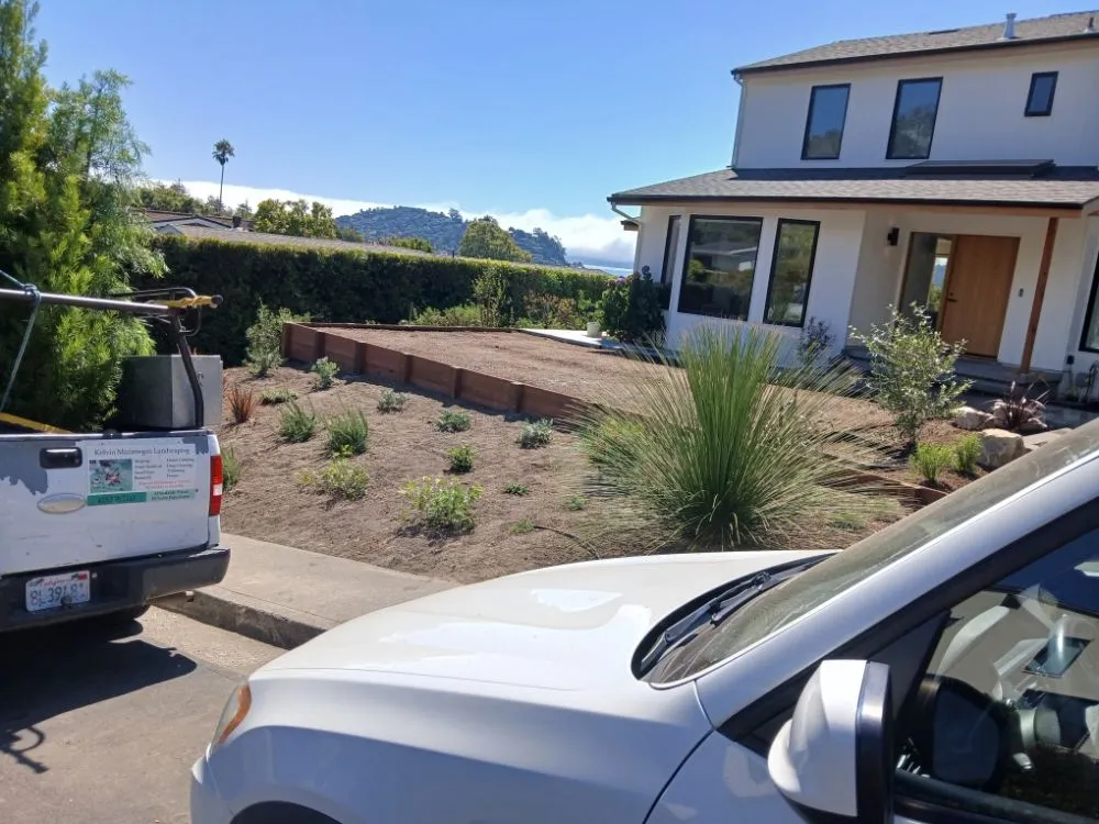 Top-rated yard maintenance experts serving san rafael, CA - Mazariegos Landscaping