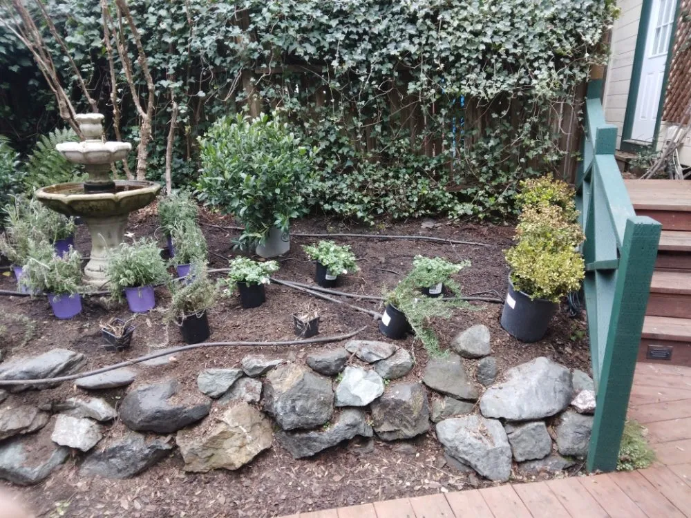 Professional landscaping services for residential properties in san rafael, CA by Mazariegos Landscaping