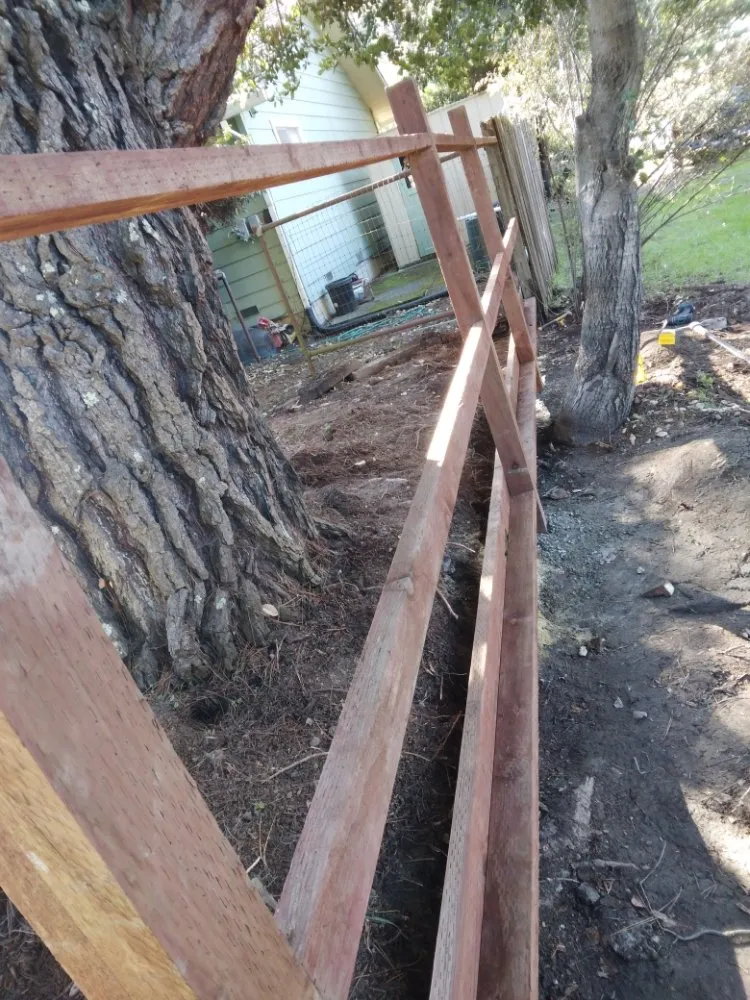 Top-rated yard maintenance for beautiful yards in san rafael, CA by Mazariegos Landscaping