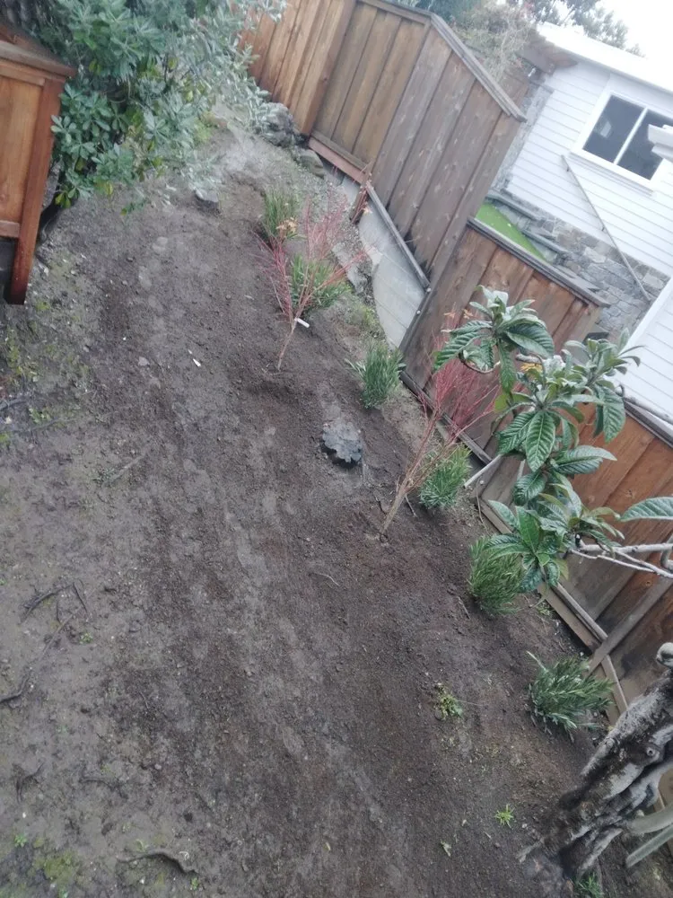 Professional outdoor landscaping in san rafael, CA - Mazariegos Landscaping