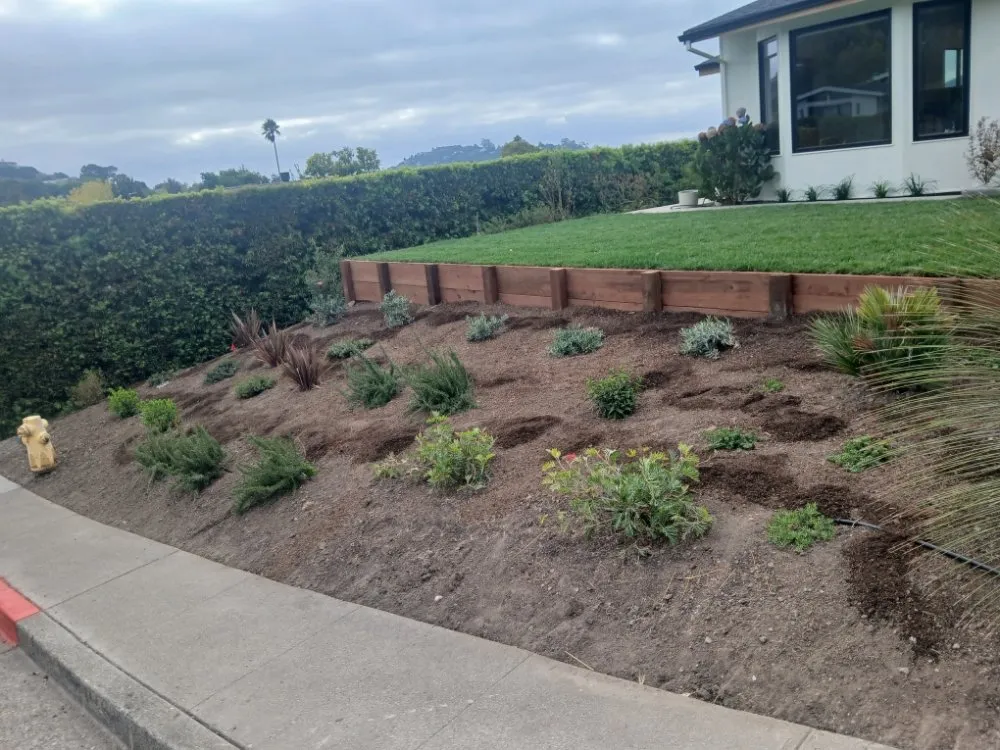 Local lawn mowing service in san rafael, CA by Mazariegos Landscaping