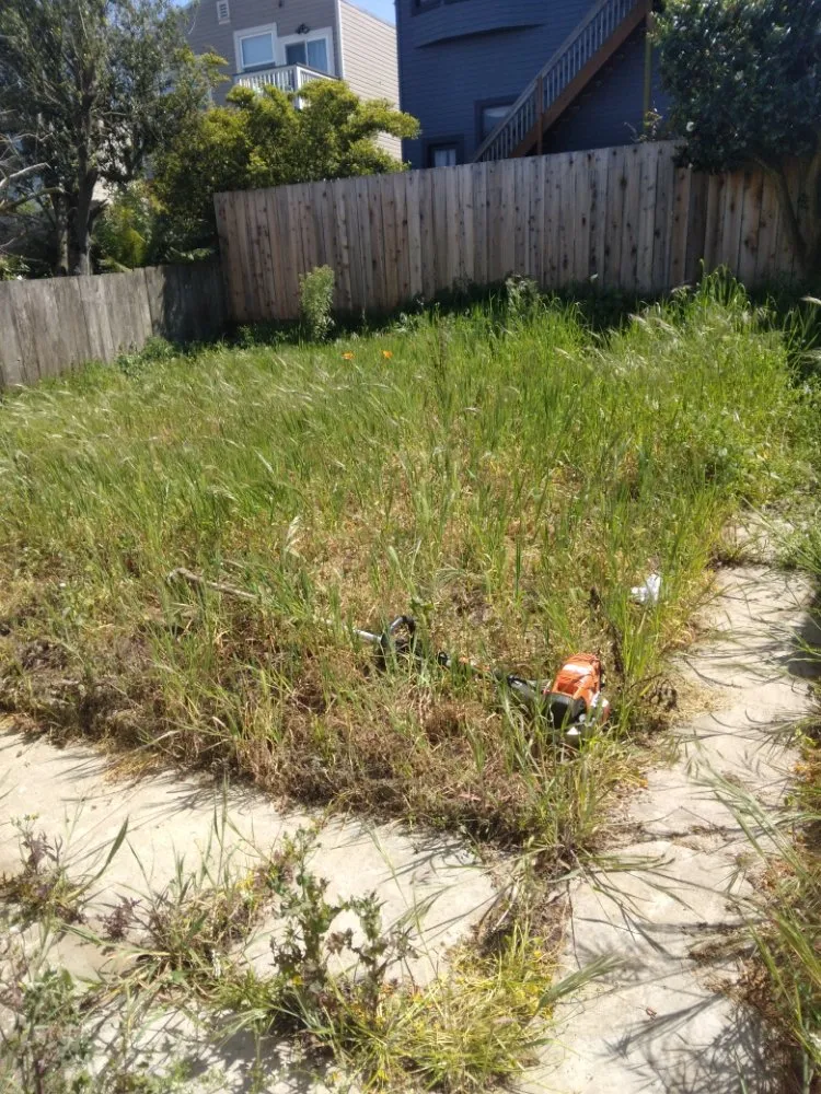 Local outdoor landscaping experts serving san rafael, CA - Mazariegos Landscaping