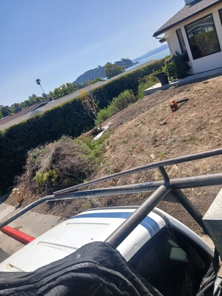 Custom outdoor landscaping near you across san rafael, CA - Mazariegos Landscaping