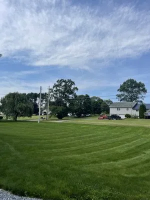 Maze Lawn Care Logo