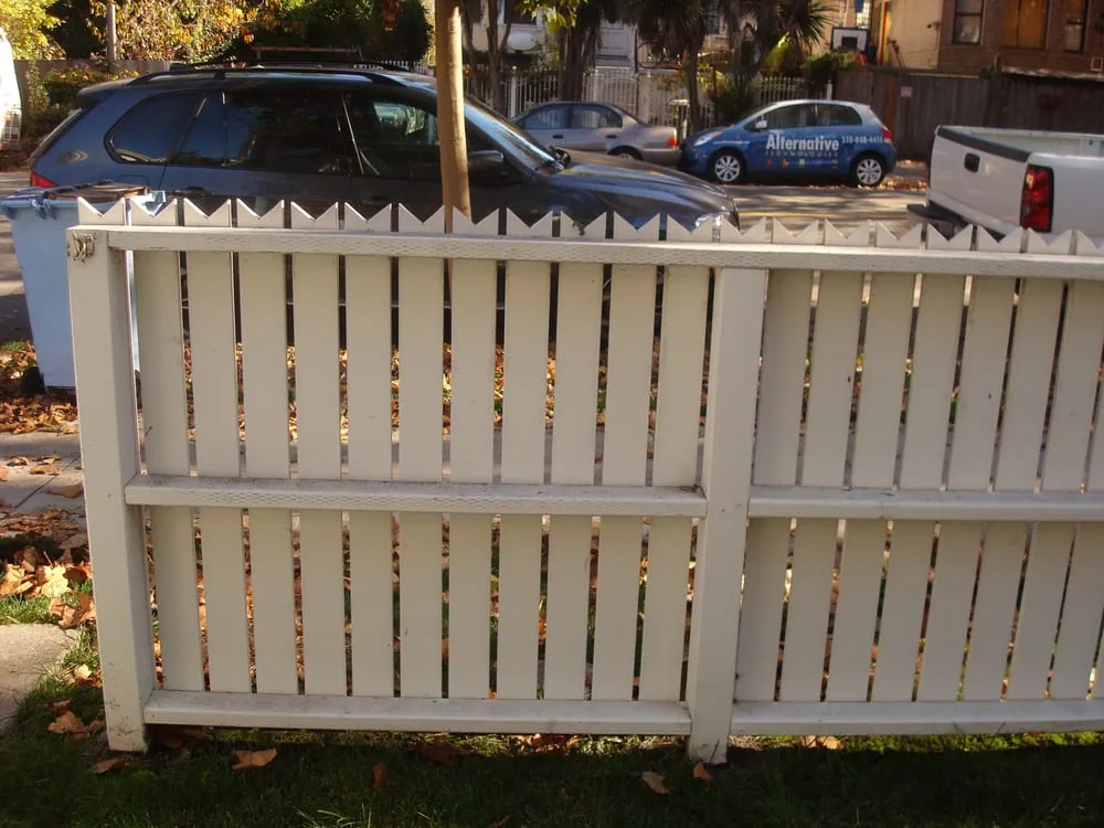 Top-rated yard cleanup service in Berkeley, CA by Mazingira Landscape and Design