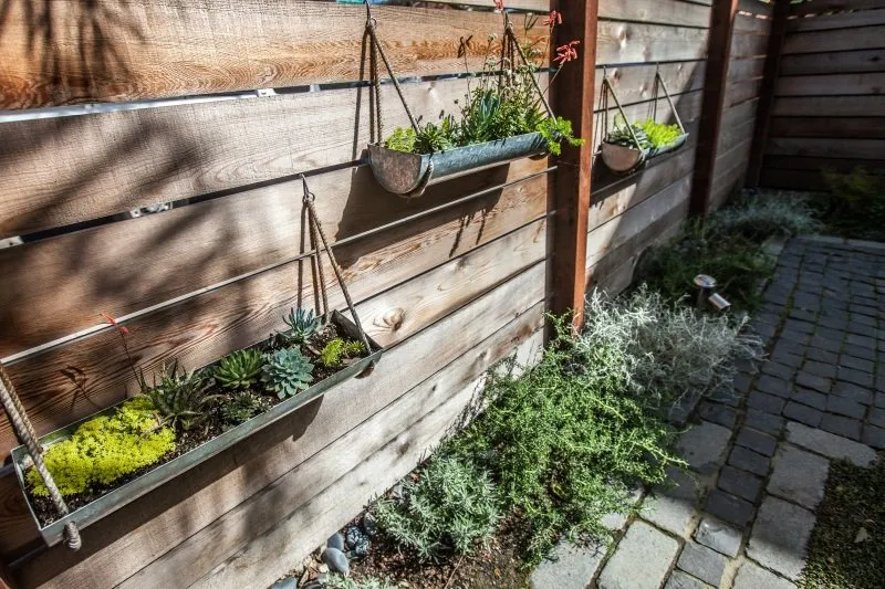 Custom outdoor landscaping in Berkeley, CA - Mazingira Landscape and Design