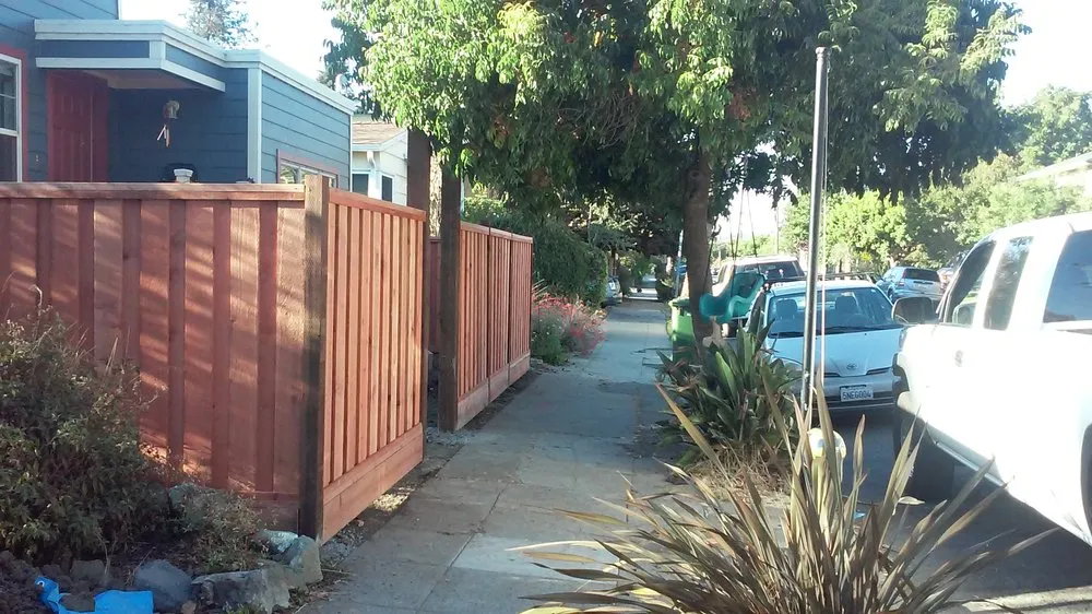 Local outdoor landscaping in Berkeley, CA by Mazingira Landscape and Design