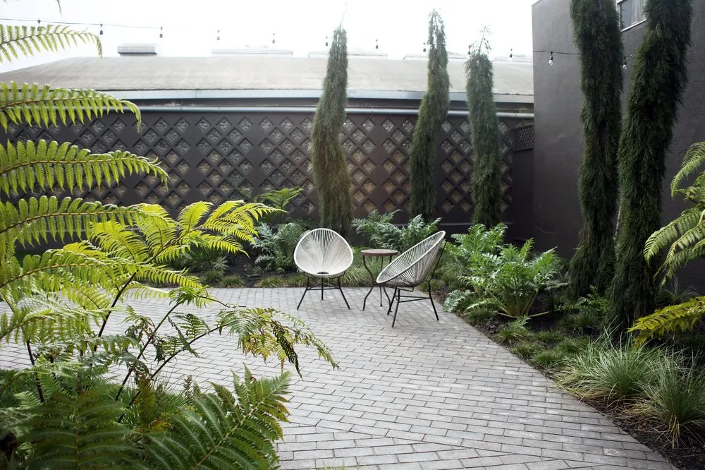 Top-rated lawn mowing service in Berkeley, CA - Mazingira Landscape and Design