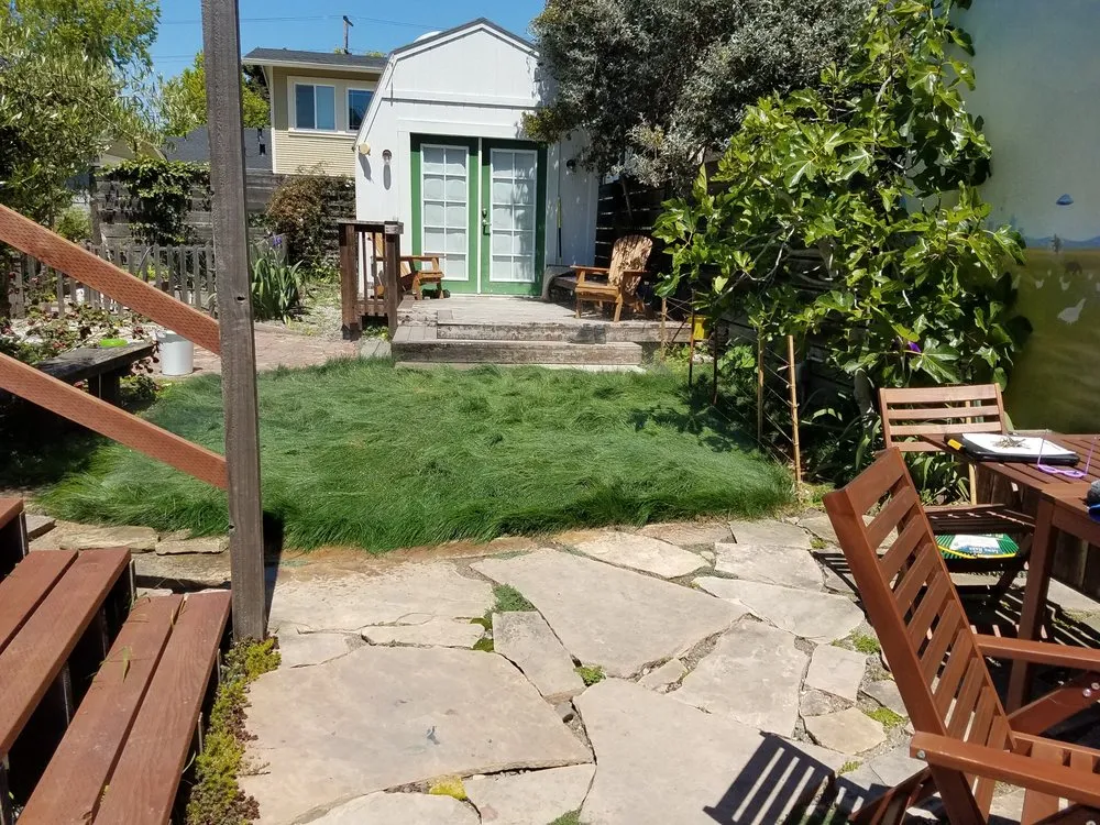 Trusted landscape design for year-round maintenance in Berkeley, CA by Mazingira Landscape and Design