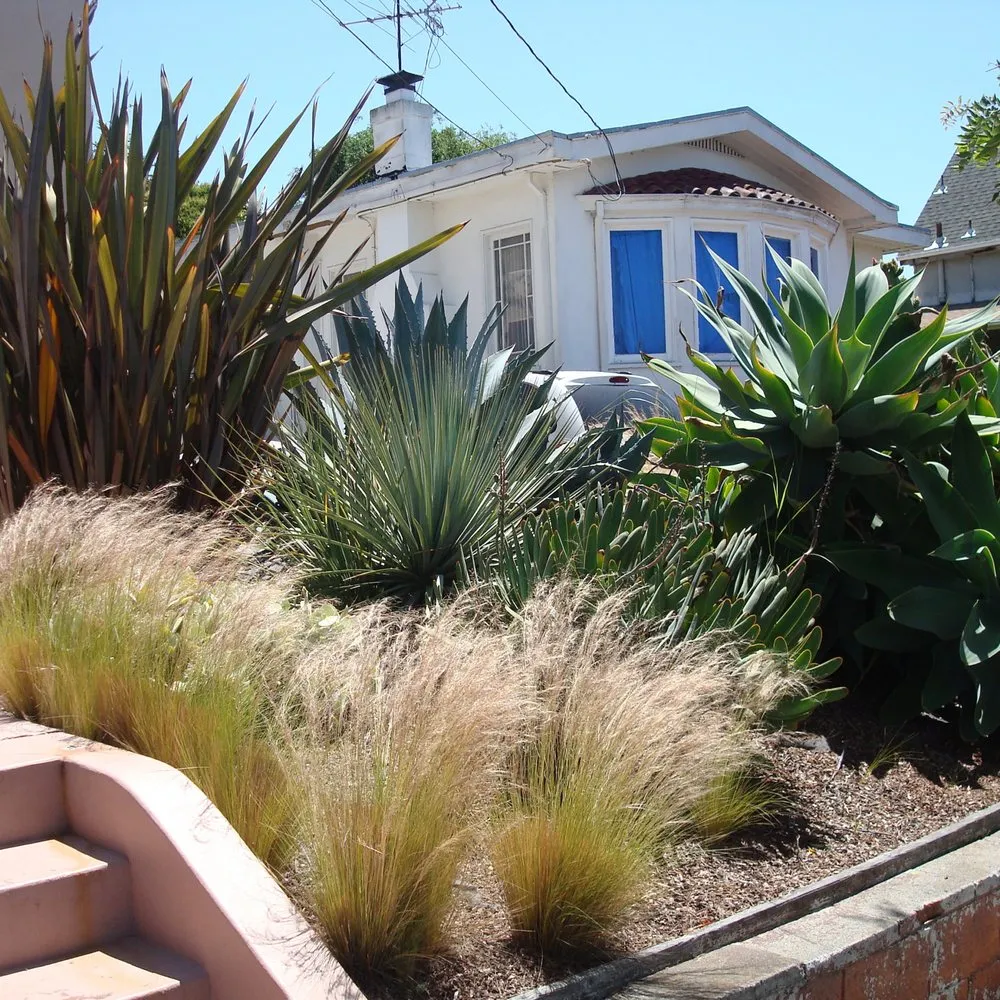 Top-rated garden landscaping for residential properties across Berkeley, CA - Mazingira Landscape and Design