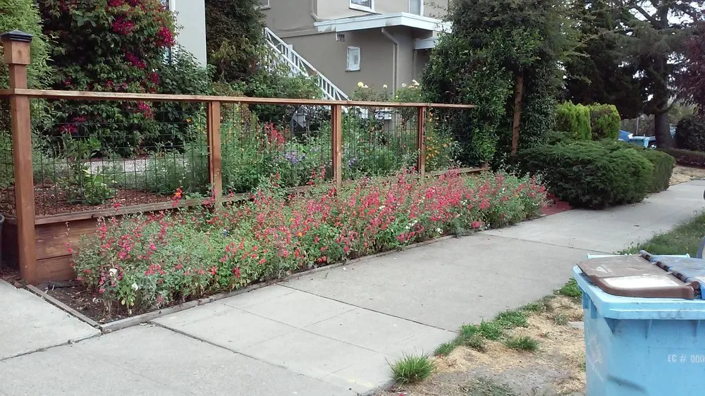 Expert yard cleanup service in Berkeley, CA by Mazingira Landscape and Design