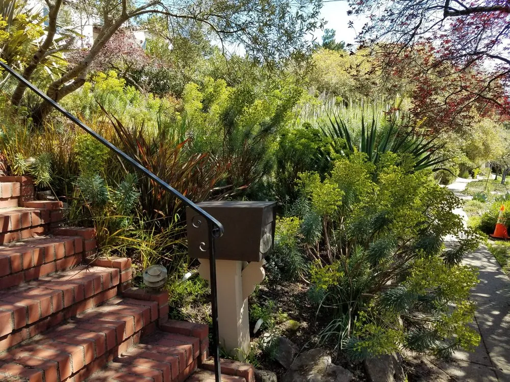 Professional residential landscaping in Norfolk, VA by Mazingira Landscape and Design