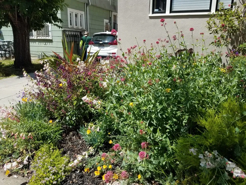 Reliable outdoor landscaping near you in Norfolk, VA by Mazingira Landscape and Design