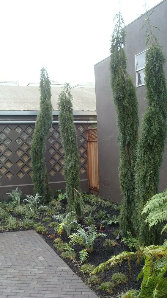 Top-rated garden landscaping for year-round maintenance in Norfolk, VA by Mazingira Landscape and Design