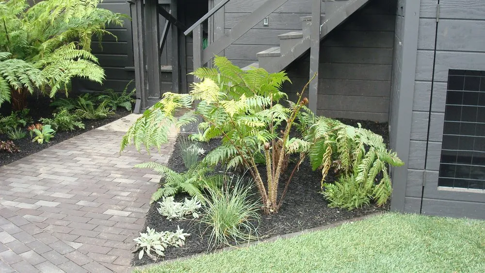 Professional landscape design in Norfolk, VA by Mazingira Landscape and Design