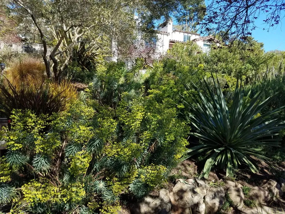 Top-rated outdoor landscaping for residential properties across Norfolk, VA - Mazingira Landscape and Design