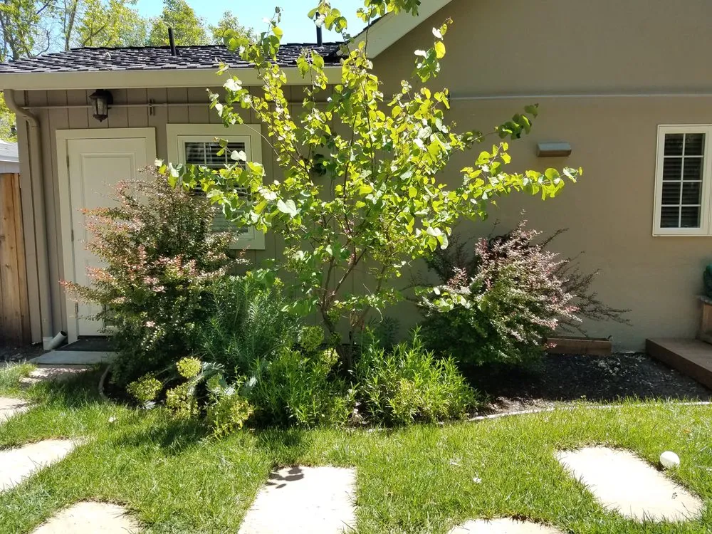 Top-rated landscaping services experts serving Norfolk, VA - Mazingira Landscape and Design