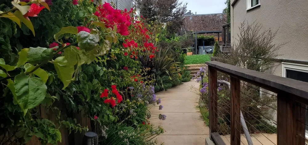 Trusted yard cleanup service with custom design across Norfolk, VA - Mazingira Landscape and Design