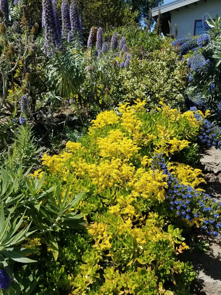 Affordable landscaping services for outdoor upgrades across Norfolk, VA - Mazingira Landscape and Design