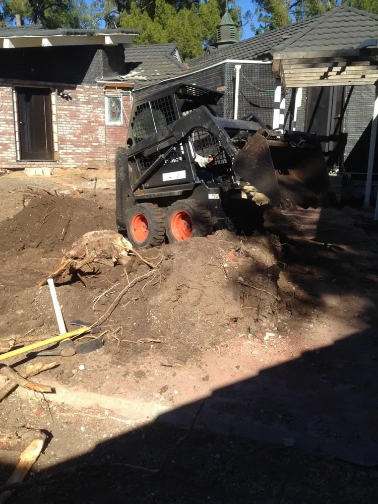 Affordable landscape design in North Hollywood, CA by Mazive Tree Service And Landscaping