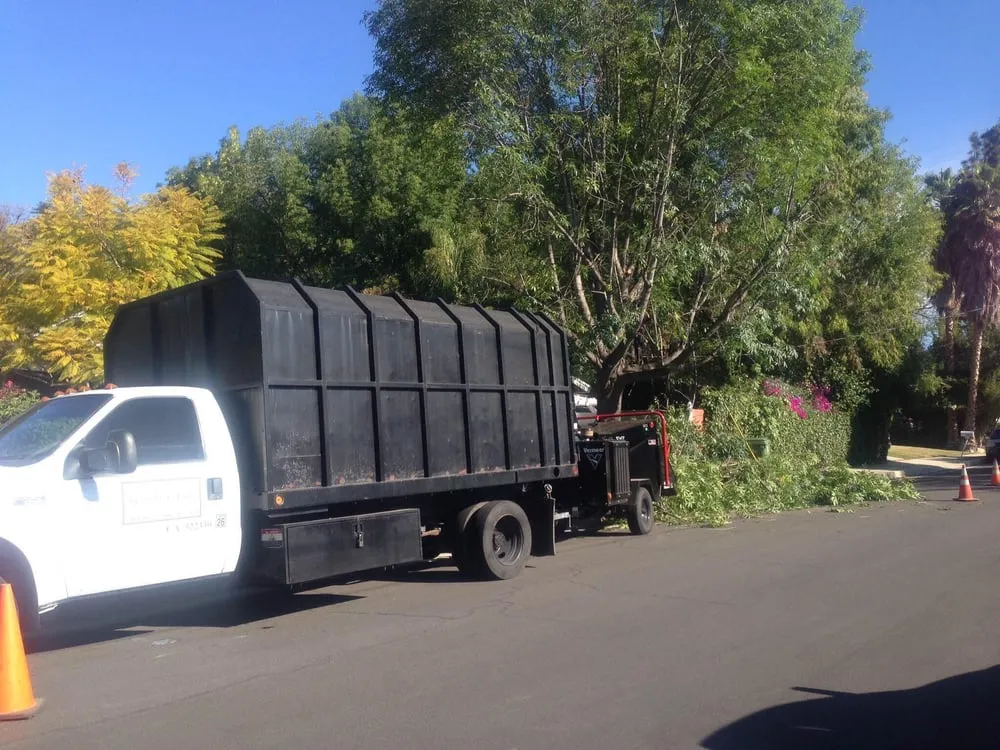 Expert garden landscaping experts serving North Hollywood, CA - Mazive Tree Service And Landscaping