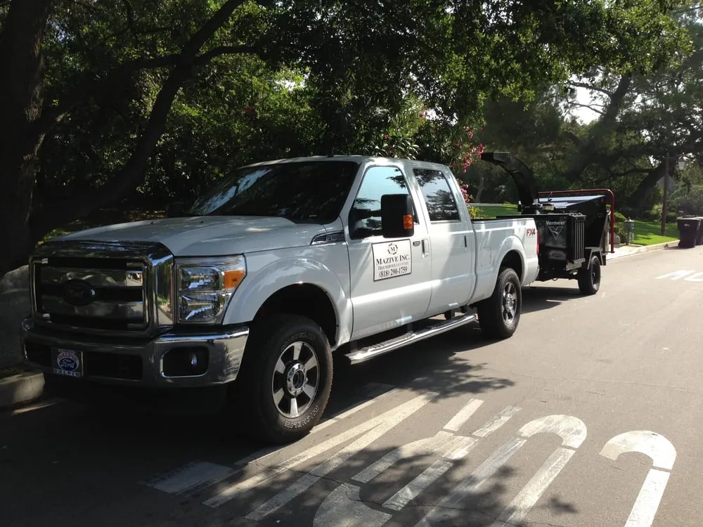 Top-rated landscaping services with custom design across North Hollywood, CA - Mazive Tree Service And Landscaping