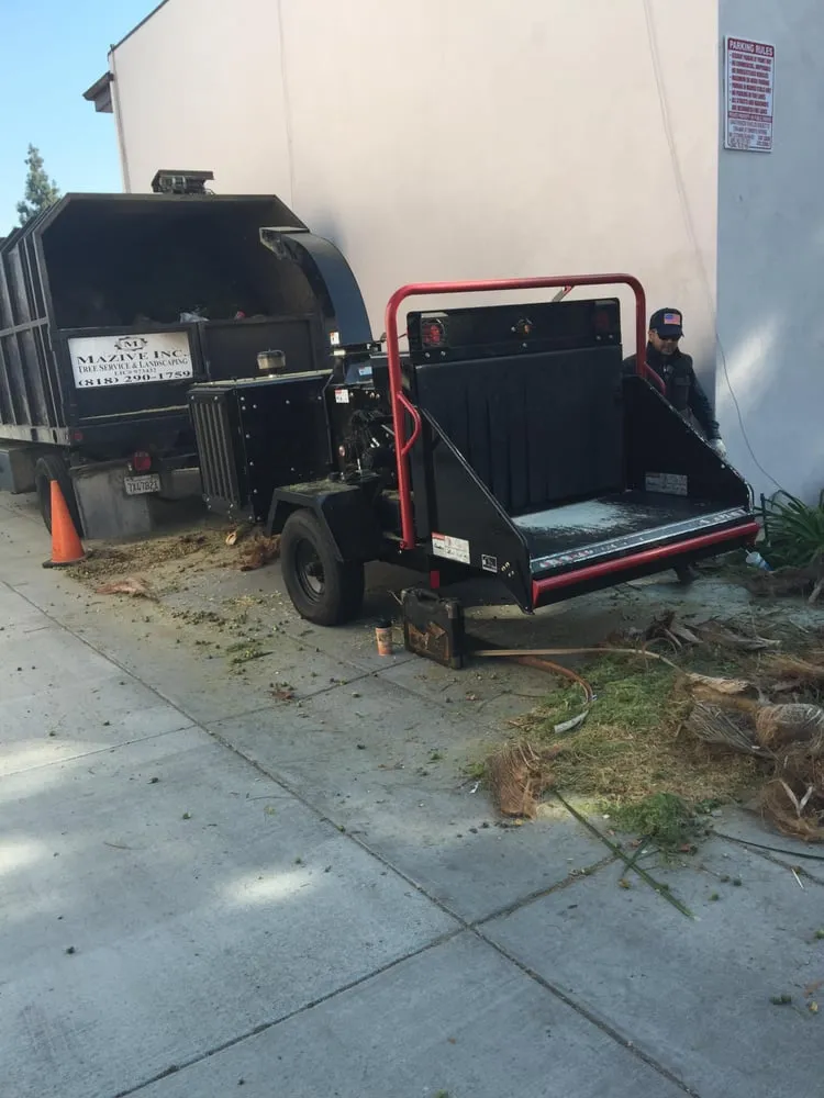 Custom landscaping services near you in North Hollywood, CA by Mazive Tree Service And Landscaping