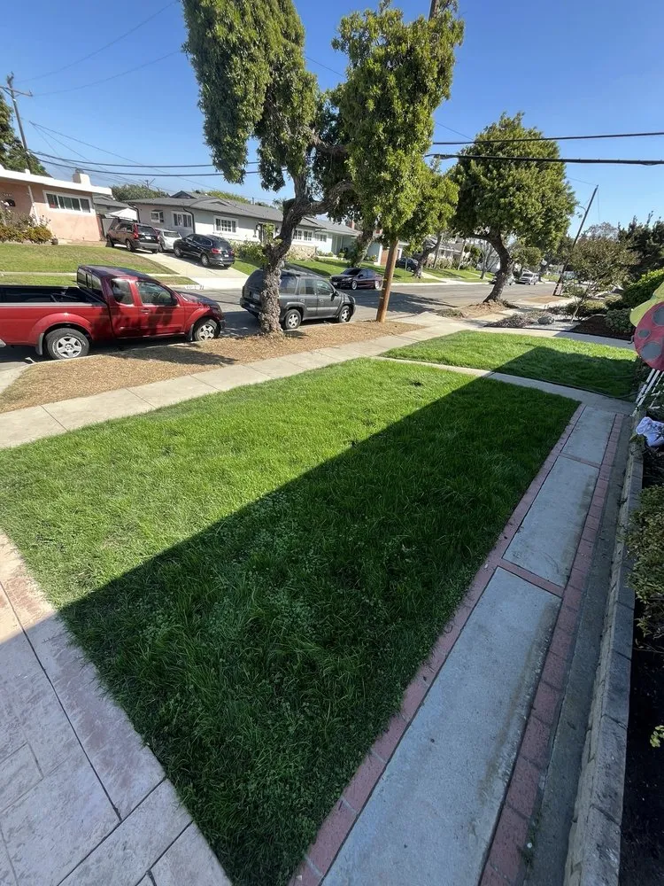 Top-rated residential landscaping for residential properties across Long Beach, CA - Maztek Landscaping
