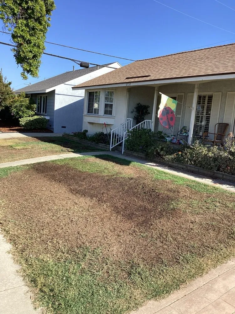 Reliable landscaping services in Long Beach, CA - Maztek Landscaping