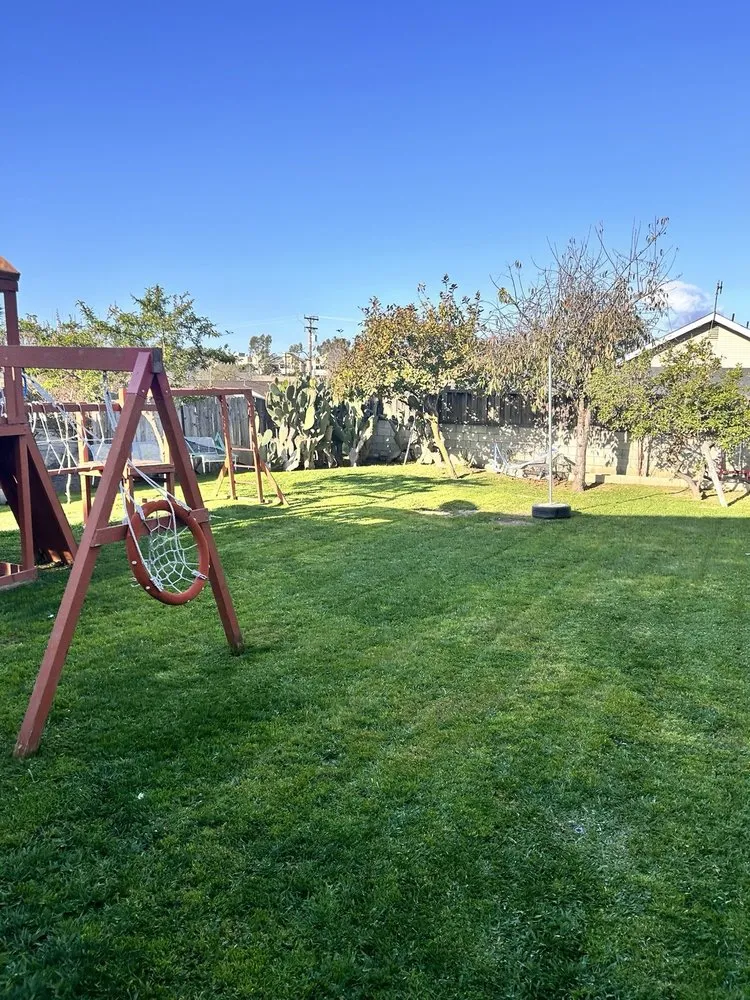 Reliable yard cleanup service in Long Beach, CA by Maztek Landscaping