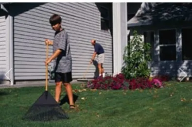 Custom yard maintenance in East Greenbush, NY by Mazurowski Enterprises