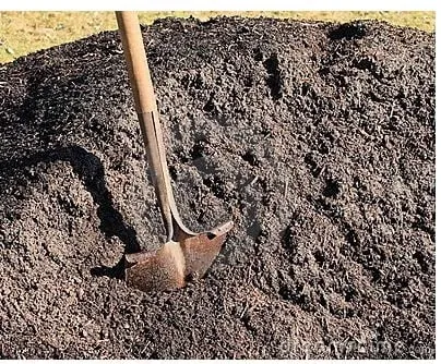 Expert landscape installation experts serving East Greenbush, NY - Mazurowski Enterprises