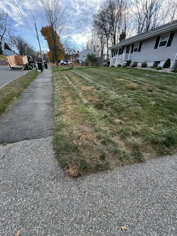 Top-rated landscape design for outdoor upgrades in Westfield, MA by Mazza’s Landscaping