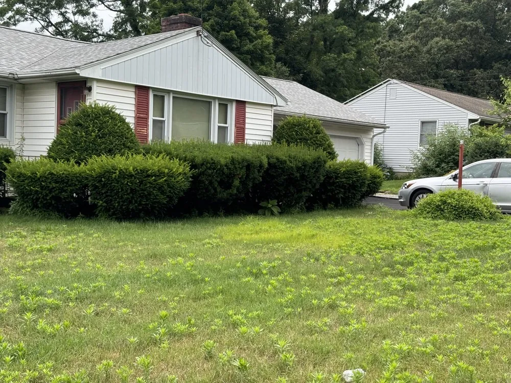 Expert landscape installation in Westfield, MA - Mazza’s Landscaping