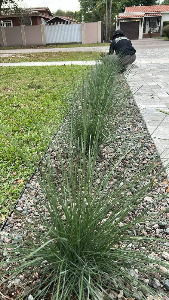 Custom residential landscaping experts serving Hialeah, FL - Mazzeta Landscape Design