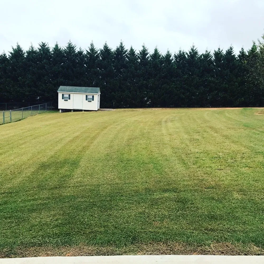 Local yard maintenance in Moore, SC by MB & B Lawn Works