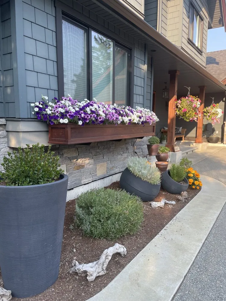 Local yard maintenance in Lynchburg, VA - MB Home Experts