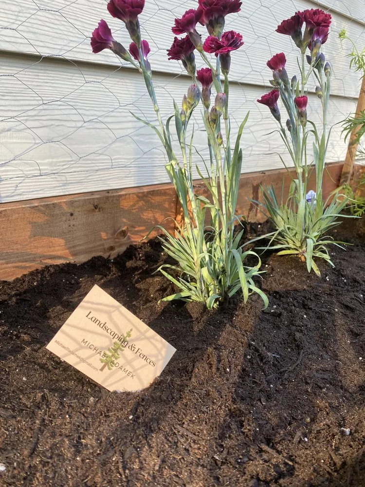 Professional lawn mowing service in Lynchburg, VA by MB Home Experts