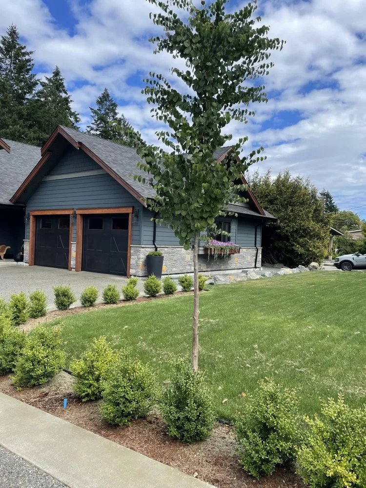 Local yard maintenance for residential properties across Lynchburg, VA - MB Home Experts