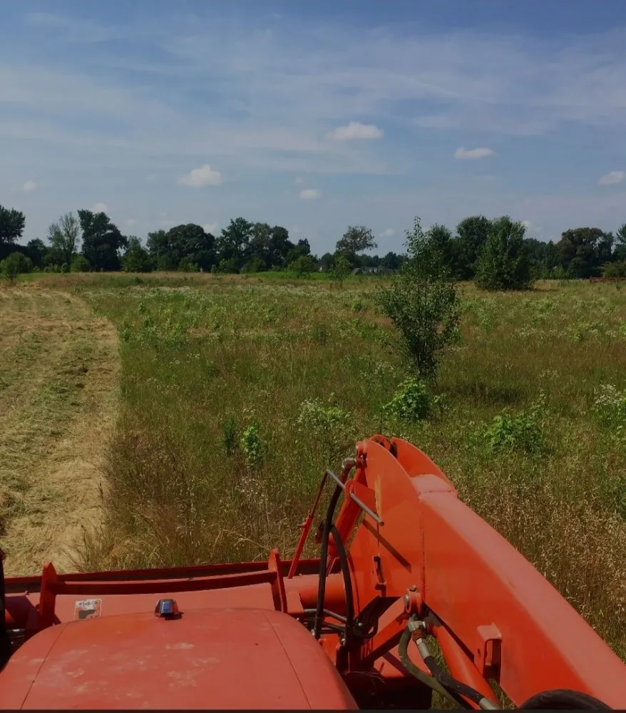 Affordable lawn care service near you across Malvern, AR - M&B Landscape Tree and Property Maintenance